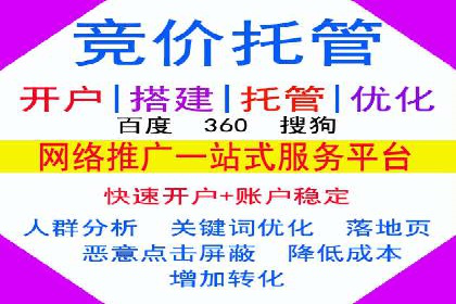 成功案例：SEM托管代运营助力业务增长